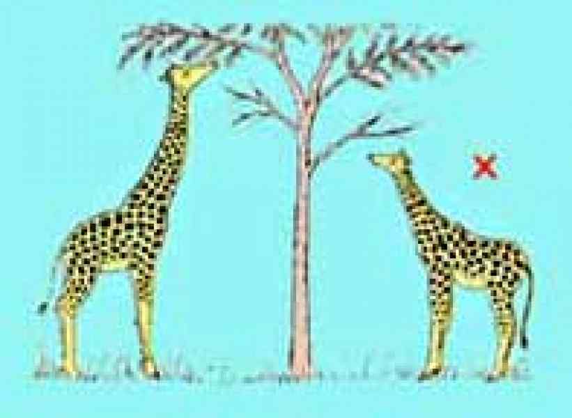 evolutiontheory.jpg